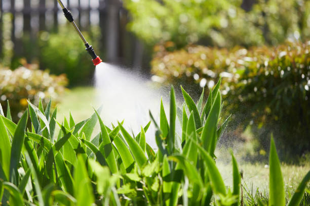 24/7 Emergency Wasp Removal experts in Marshall, MN